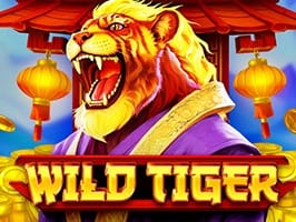 Wild Tiger screenshot